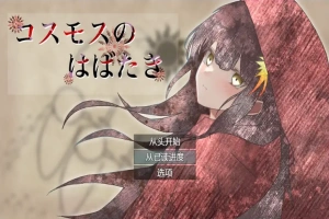 [RPG/汉化] 宇宙冒险 コスモスのはばたき 1.0 PC+安卓汉化版 [1.2G]-IS